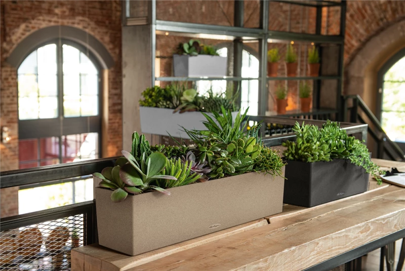 LECHUZA Balkonkasten „Balconera“, Stone, 79x19x19 Cm