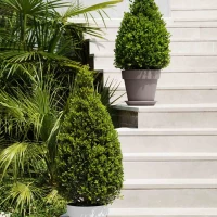 EURO3PLAST Pflanzgefäß „Mitu Pac“, 100 Cm, Anthrazit – Bild 8