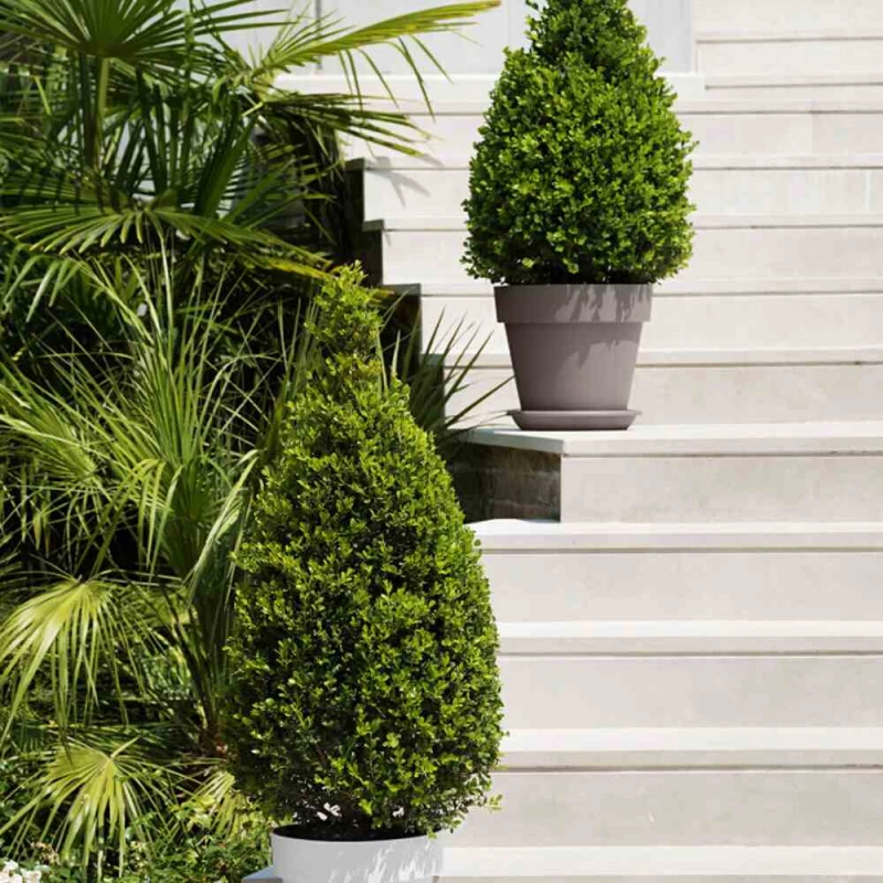 EURO3PLAST Pflanzgefäß „Mitu Pac“, 100 Cm, Anthrazit – Bild 3