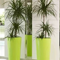 EURO3PLAST Pflanzgefäß „Tuit“, Ø33 Cm, Weiß – Bild 9