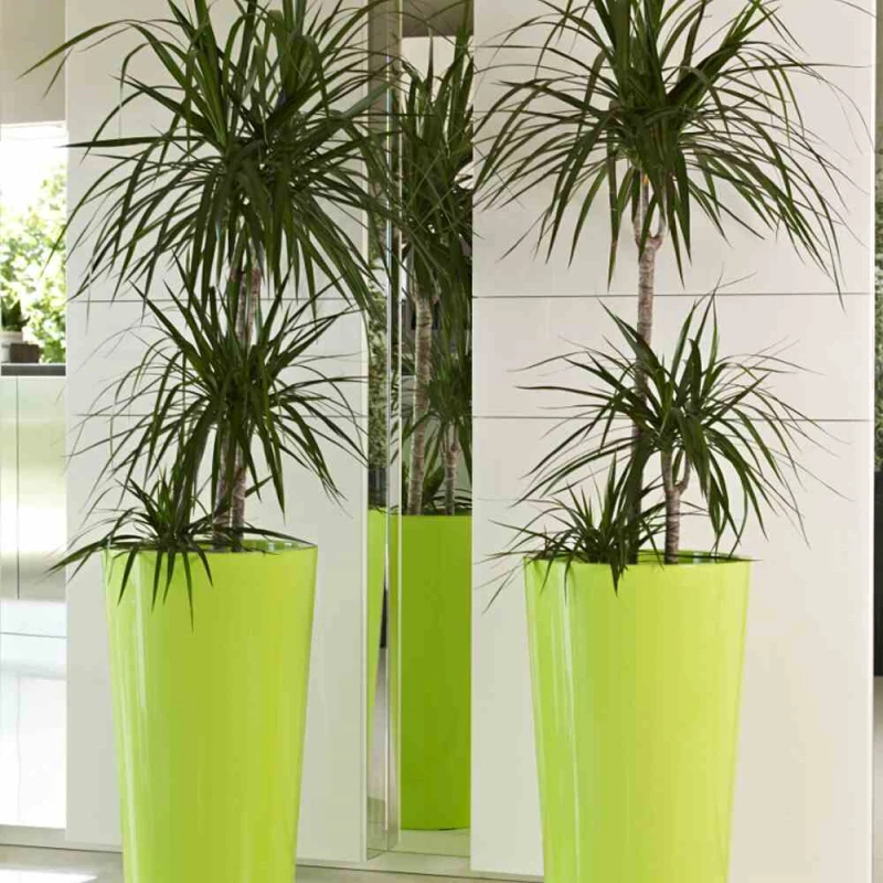 EURO3PLAST Pflanzgefäß „Tuit“, Ø33 Cm, Schwarz – Bild 4