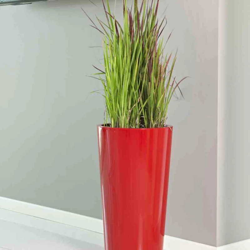 EURO3PLAST Pflanzgefäß „Tuit“, Ø33 Cm, Weiß – Bild 5