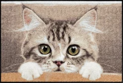 SALONLÖWE Fussmatte „Nosy Cat“