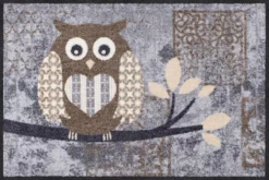 SALONLÖWE Fussmatte „Eule Vintage“